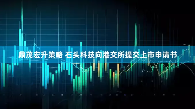 鼎茂宏升策略 石头科技向港交所提交上市申请书