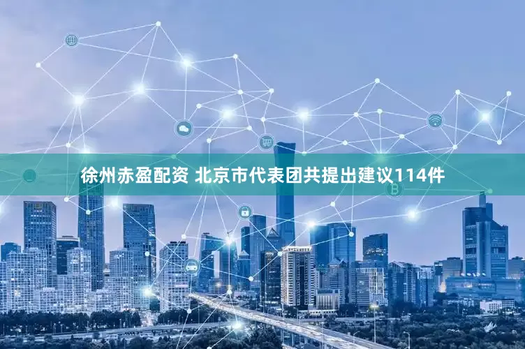 徐州赤盈配资 北京市代表团共提出建议114件